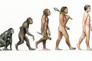 Zašto majmuni se ne evoluiraju u čovjeka Zašto majmuni se ne evoluiraju u čovjeka